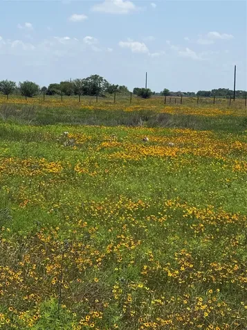 1993 Fm 2761 Bernardo TX 78933