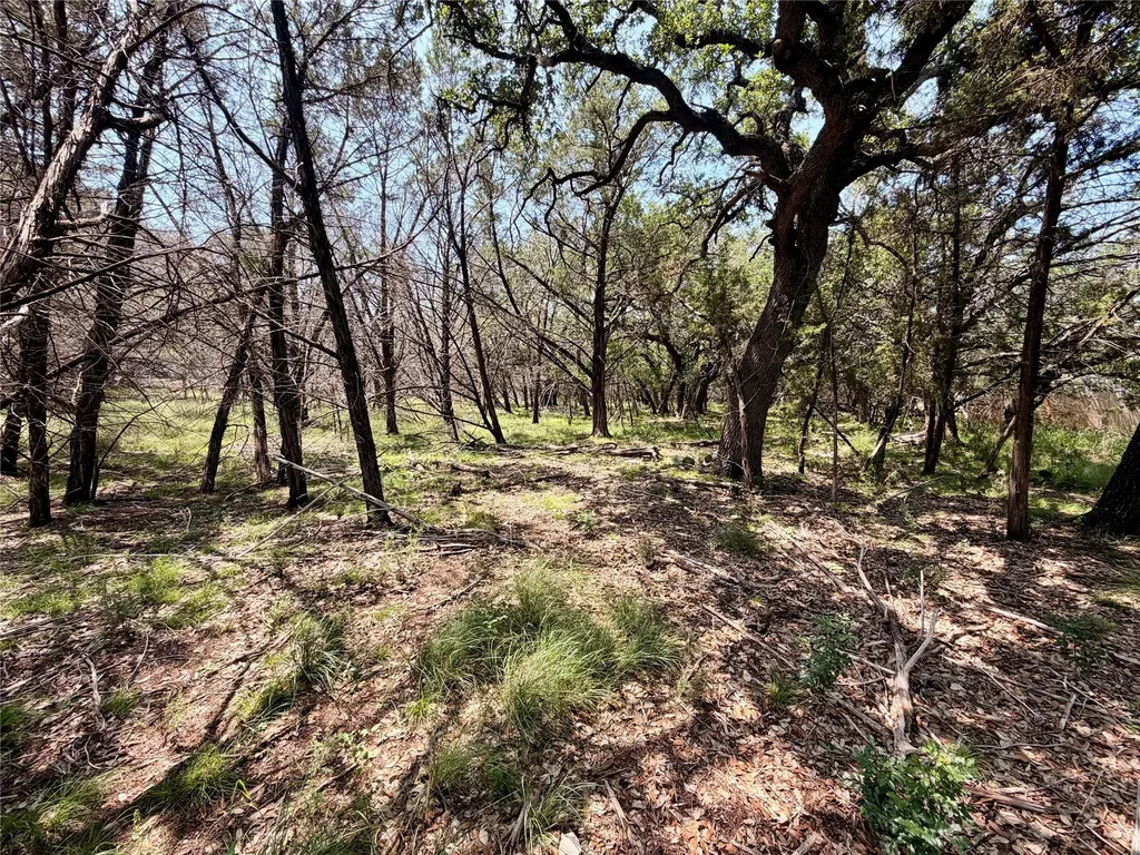 21807 O'henry Avenue Lago Vista TX 78645