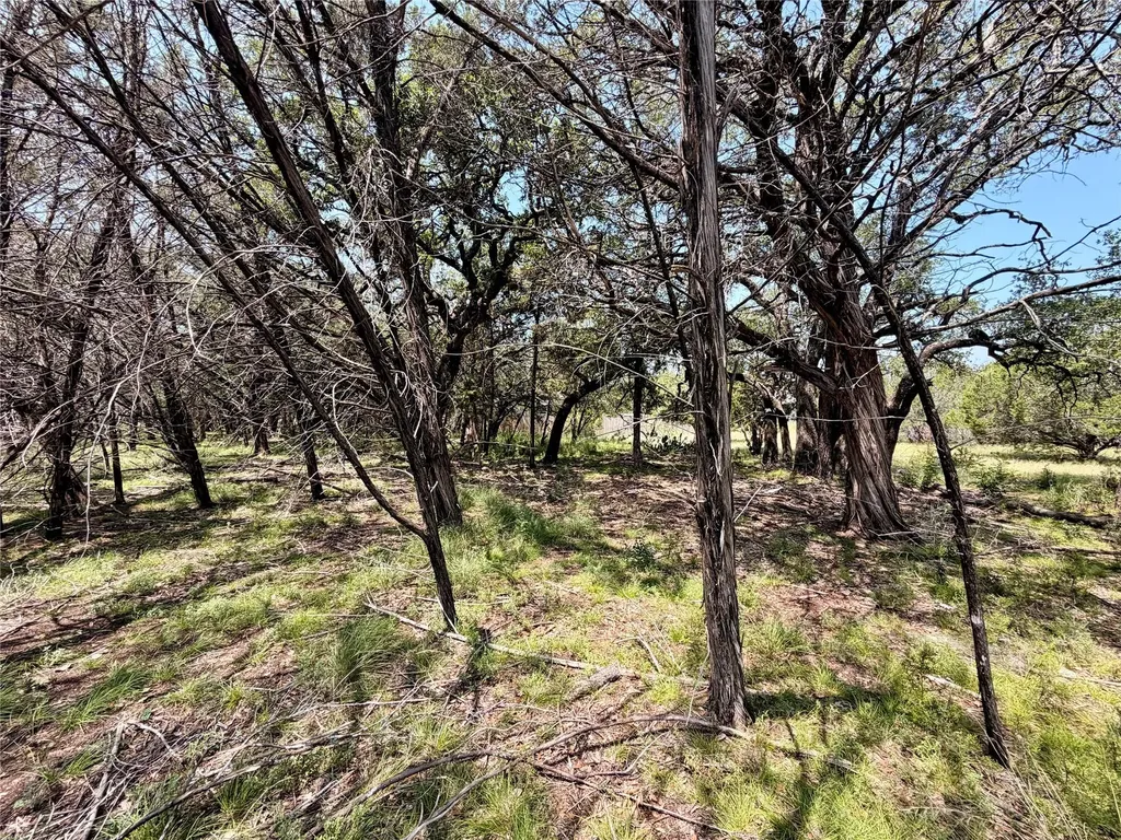 21807 O'henry Avenue Lago Vista TX 78645
