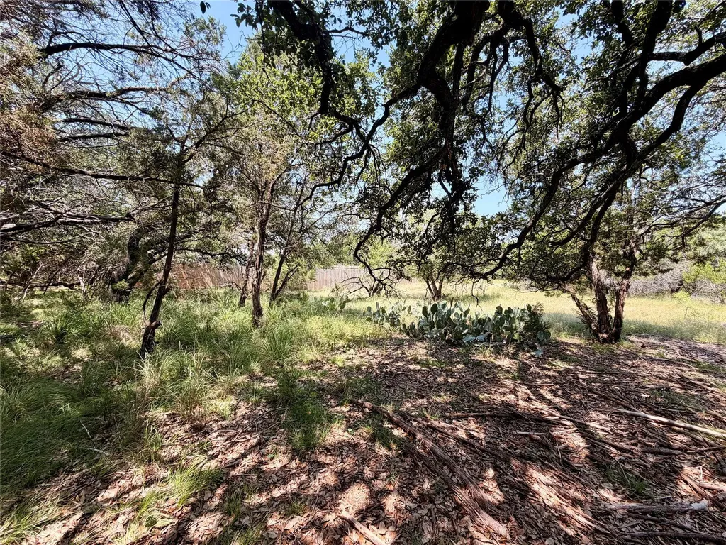 21807 O'henry Avenue Lago Vista TX 78645