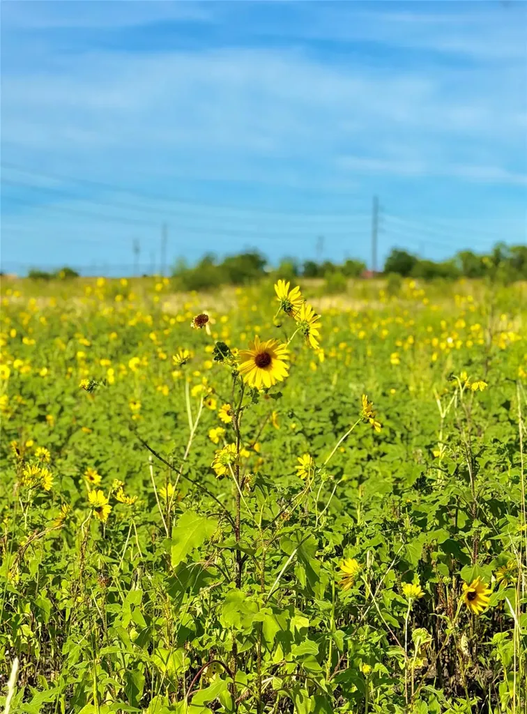 Tbd Tract H County Road 512 Hondo TX 78850