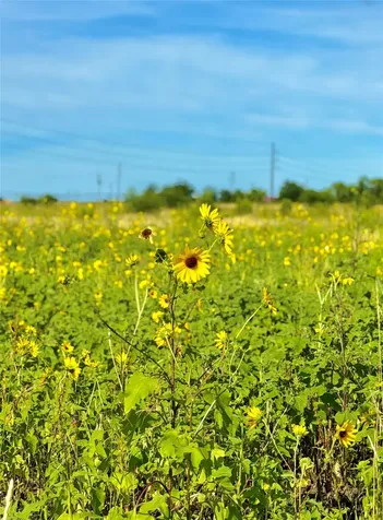 Tbd Tract H County Road 512 Hondo TX 78850