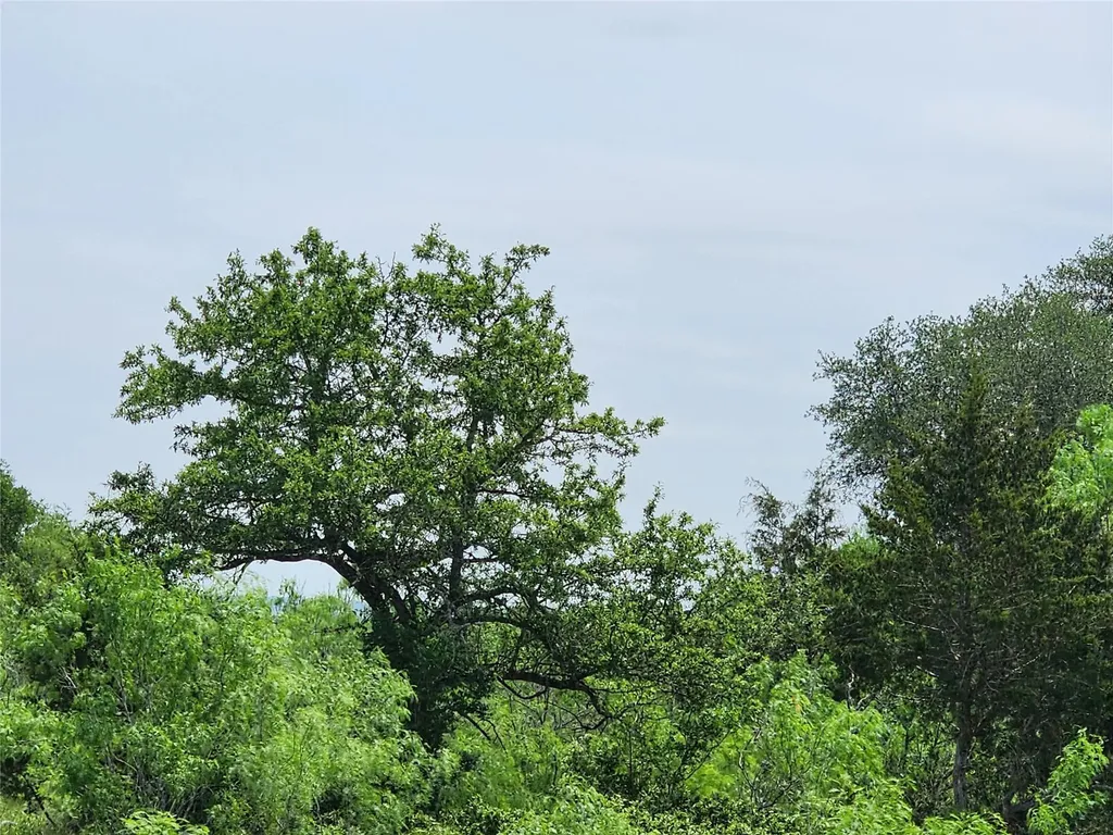 Tbd Fox Lane Lockhart TX 78644