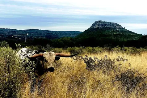 00 Hwy 55 Lot 1, 19 Uvalde TX 78801