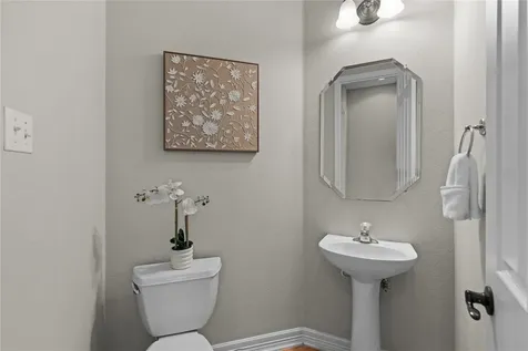 1604 Tahoka Daisy Drive Cedar Park TX 78613