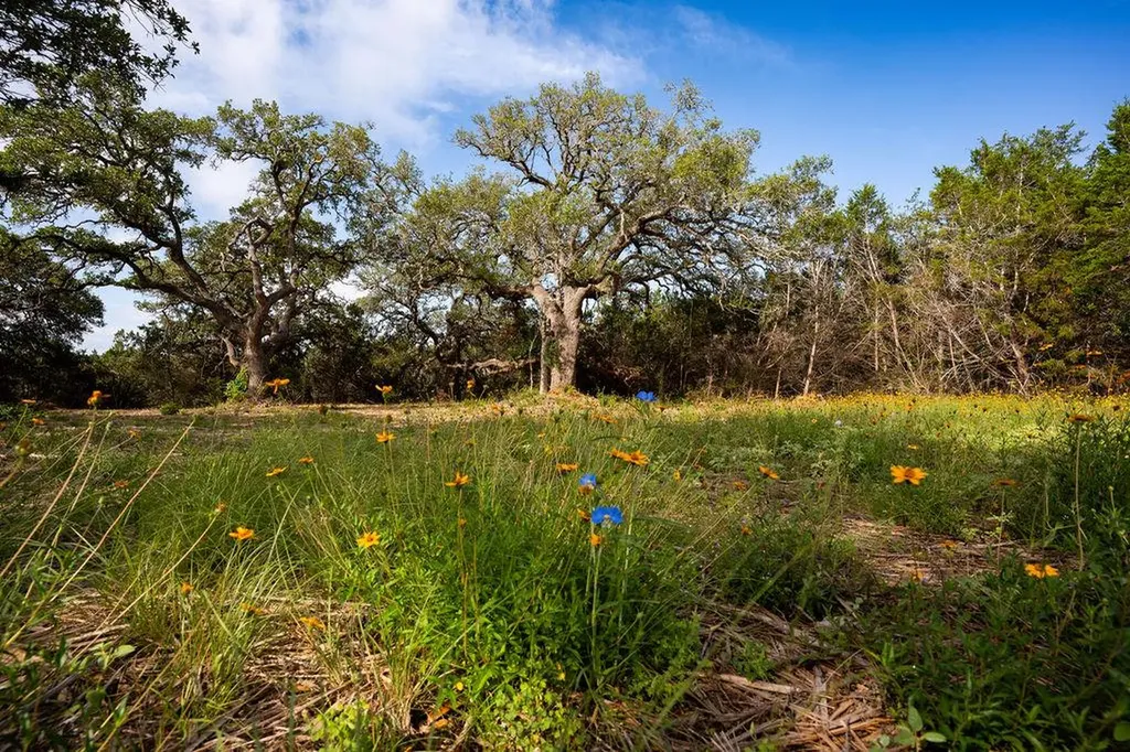 Tbd Gatlin Creek Road Dripping Springs TX 78620
