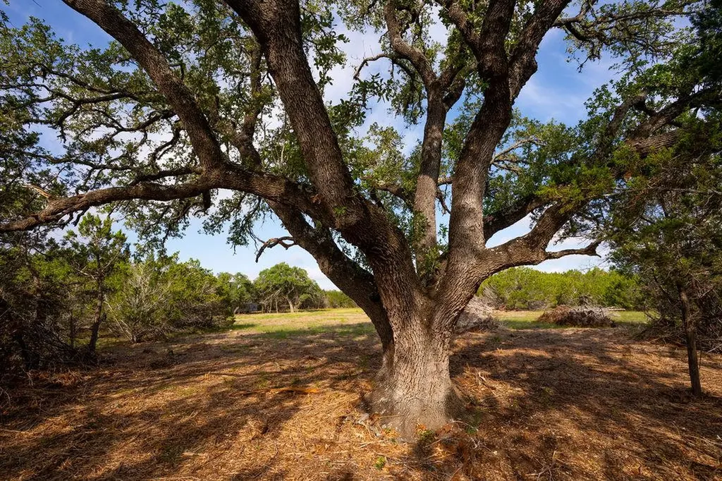 Tbd Gatlin Creek Road Dripping Springs TX 78620