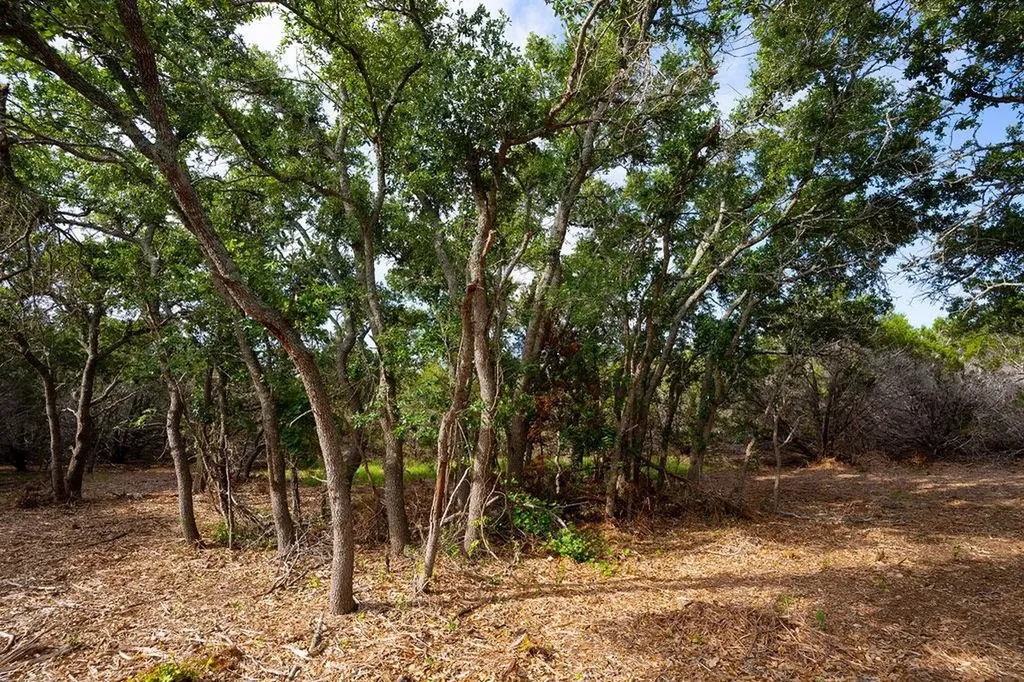Tbd Gatlin Creek Road Dripping Springs TX 78620