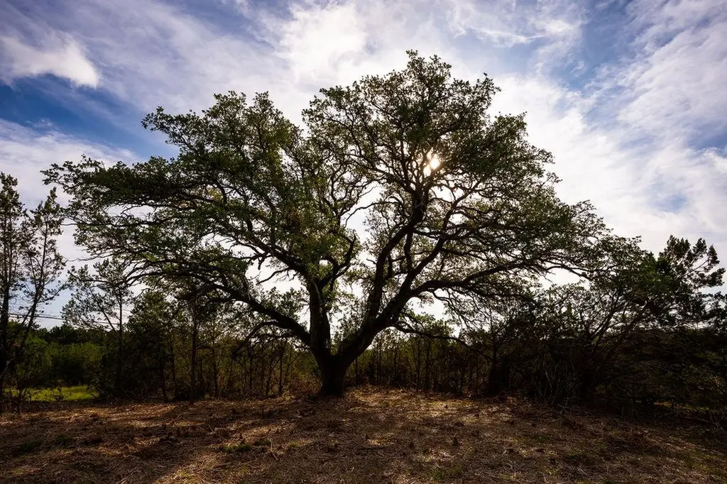 Tbd Gatlin Creek Road Dripping Springs TX 78620