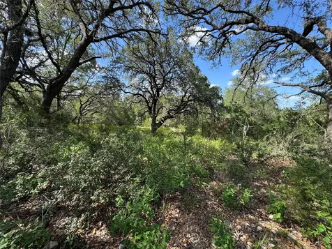 211 Hunters Glen Drive San Marcos TX 78666