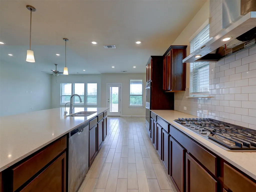 11007 Strawberry Roan Drive Manor TX 78653