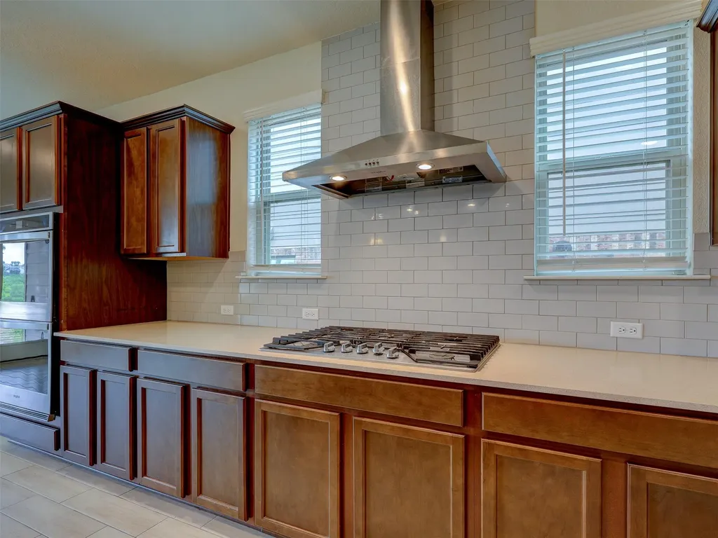 11007 Strawberry Roan Drive Manor TX 78653