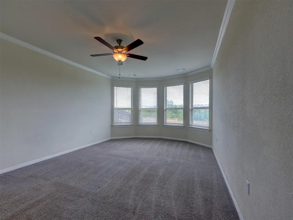 11007 Strawberry Roan Drive Manor TX 78653