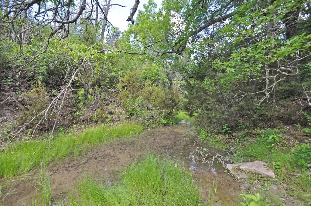 00 County Road 287 (Lot 1) Liberty Hill TX 78642