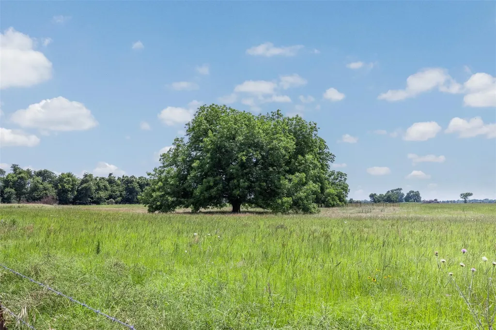 476 Lcr 640 Groesbeck TX 76642
