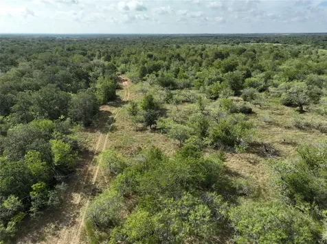 Tbd Lot 22 Cr 424 Road Waelder TX 78629
