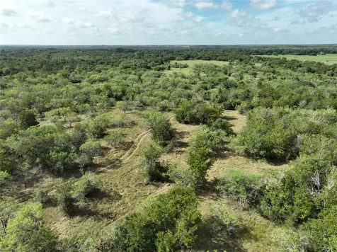 Tbd Lot 22 Cr 424 Road Waelder TX 78629