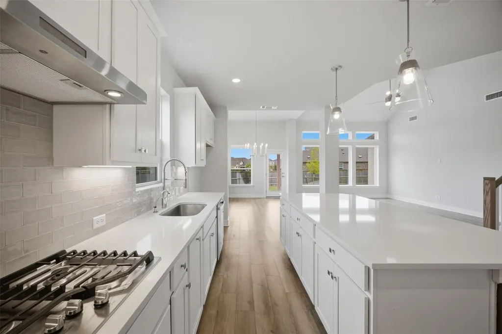 2101 Little Snake Way Georgetown TX 78633