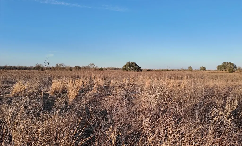 Tbd (Tract 5) Cr 119 Ledbetter TX 78946