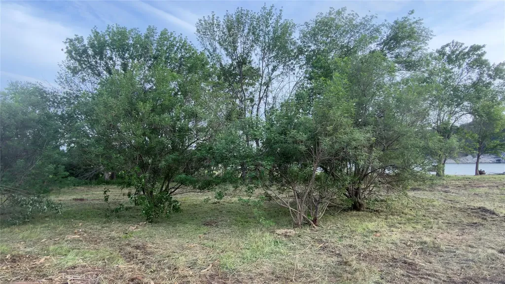 25113 Lake View Drive Spicewood TX 78669