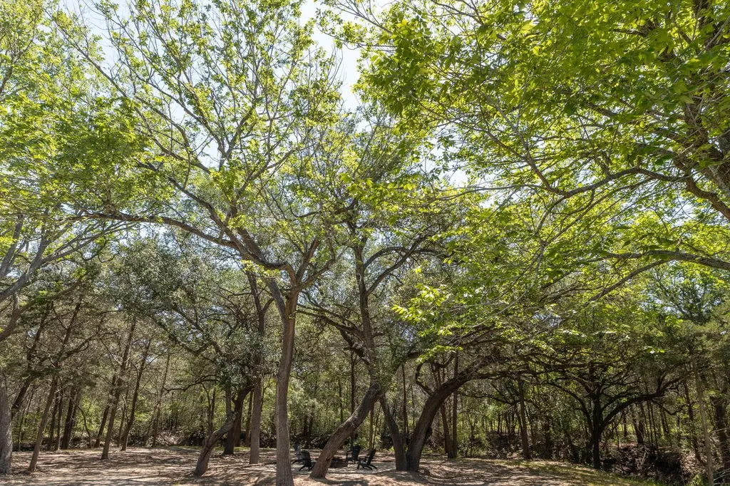 2088 (Tract #3) Baca Loop Flatonia TX 78941
