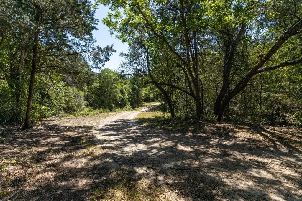 2088 (Tract #3) Baca Loop Flatonia TX 78941