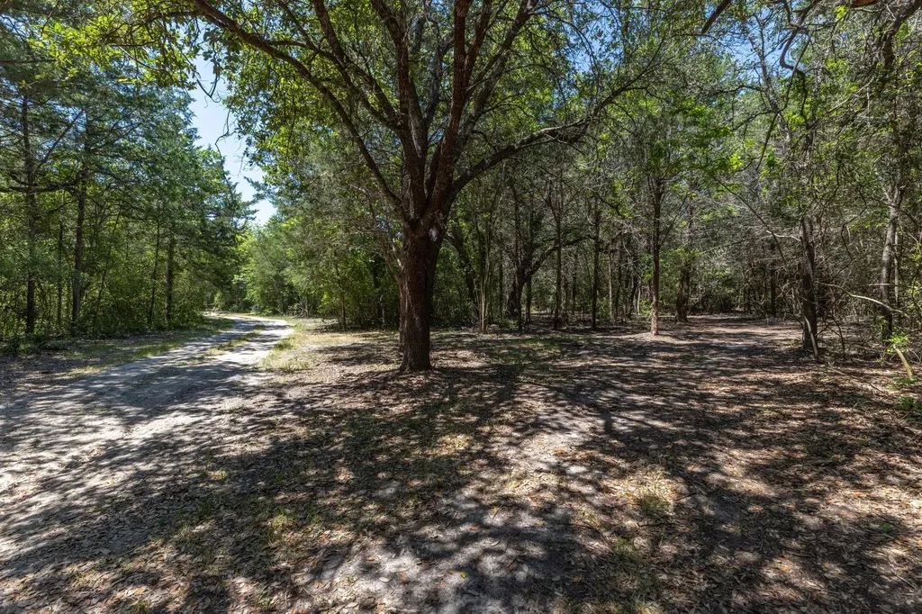 2088 (Tract #3) Baca Loop Flatonia TX 78941