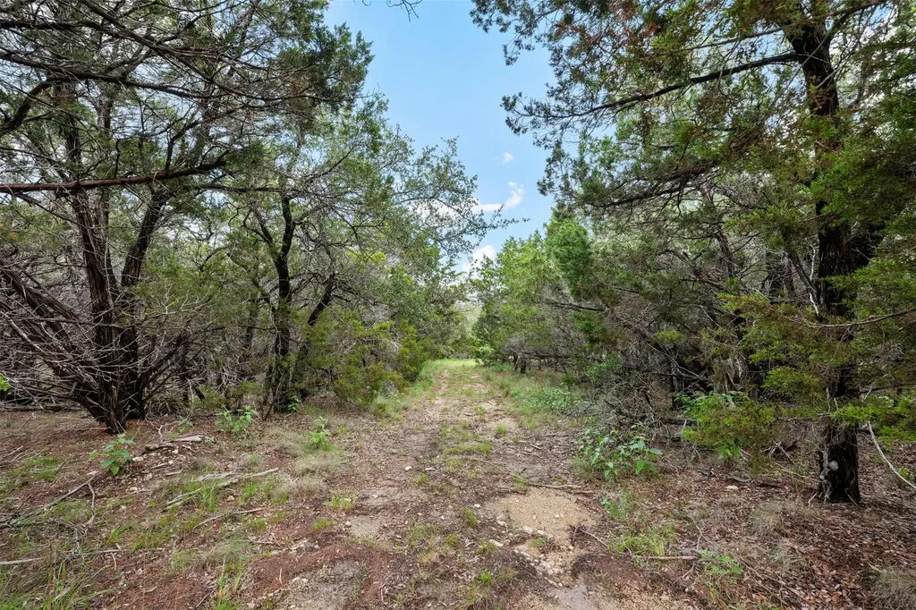 18900 Angel Mountain Drive Leander TX 78641