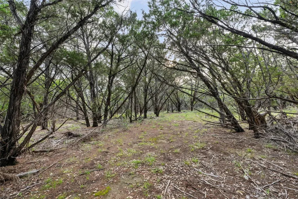 18900 Angel Mountain Drive Leander TX 78641