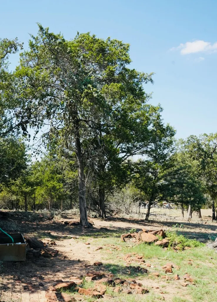640 County Road 475 Road Luling TX 78648