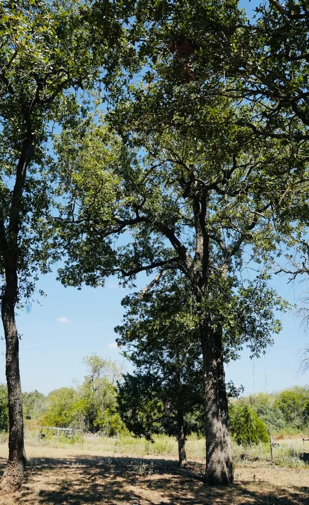 640 County Road 475 Road Luling TX 78648