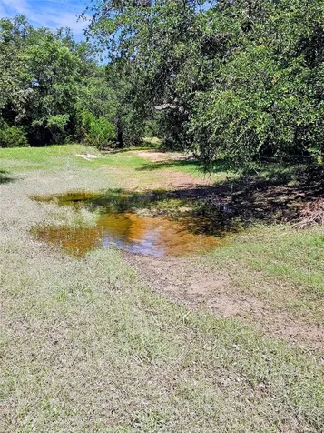4462 Cr 390 Rocksprings TX 78828
