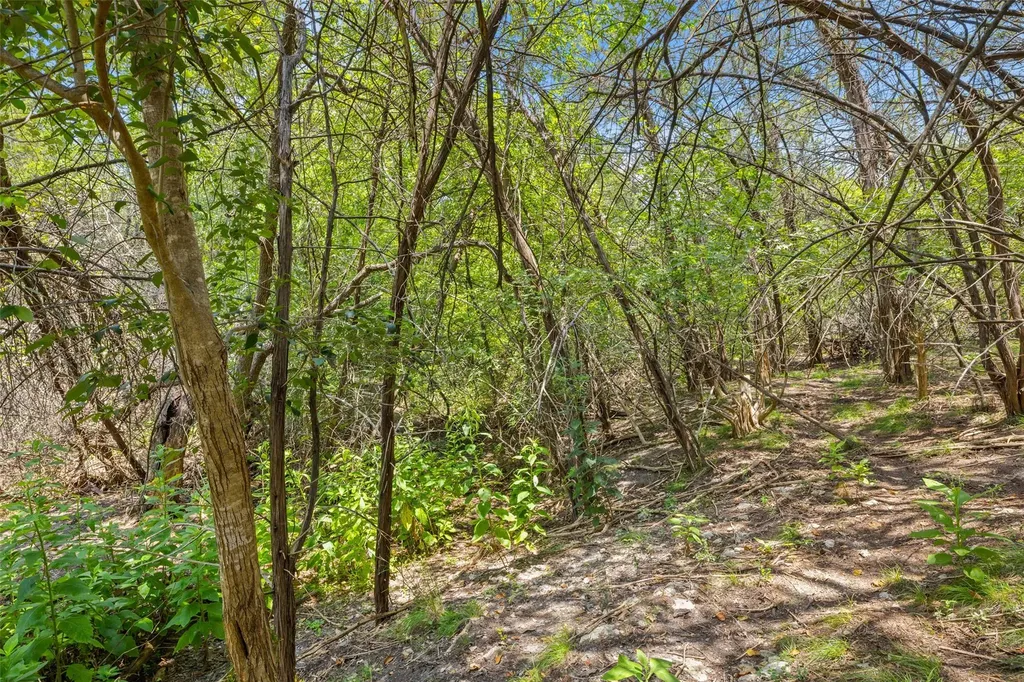 1810 Miami Drive Austin TX 78733