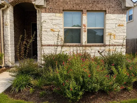 209 Rainier Drive Kyle TX 78640
