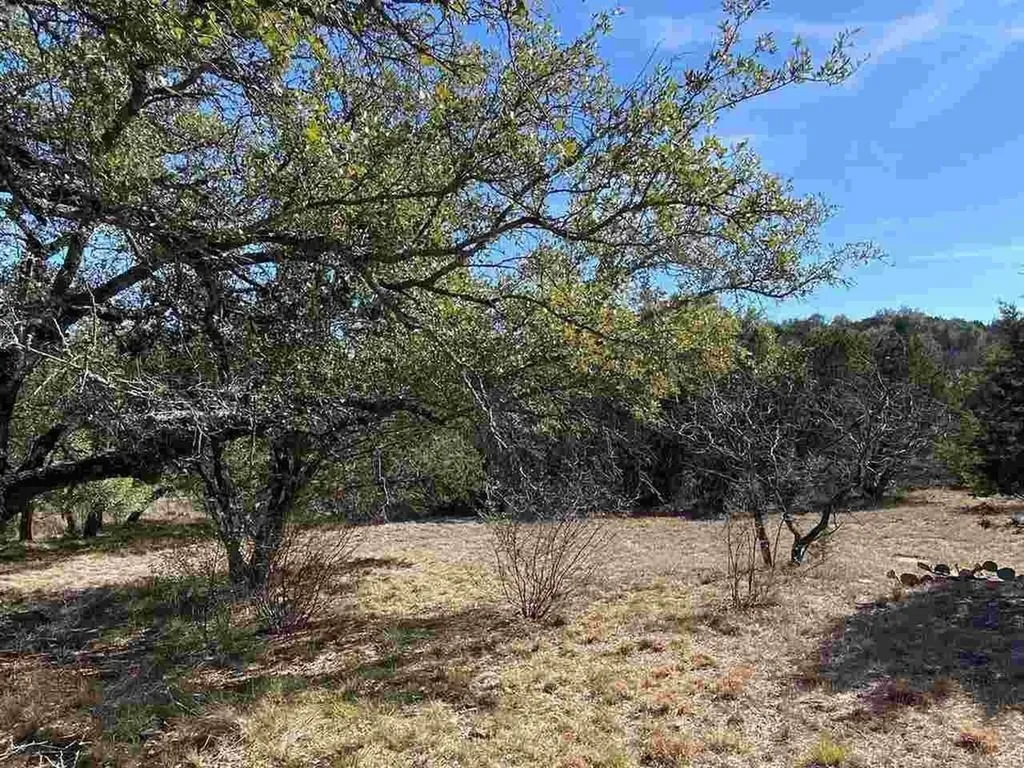 K13105 Buntline Special Horseshoe Bay TX 78657