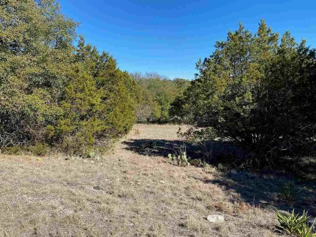 K13105 Buntline Special Horseshoe Bay TX 78657