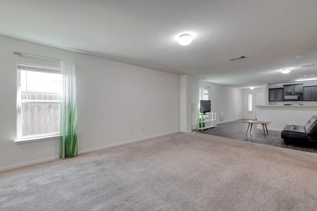 1436 Breanna Lane Kyle TX 78640