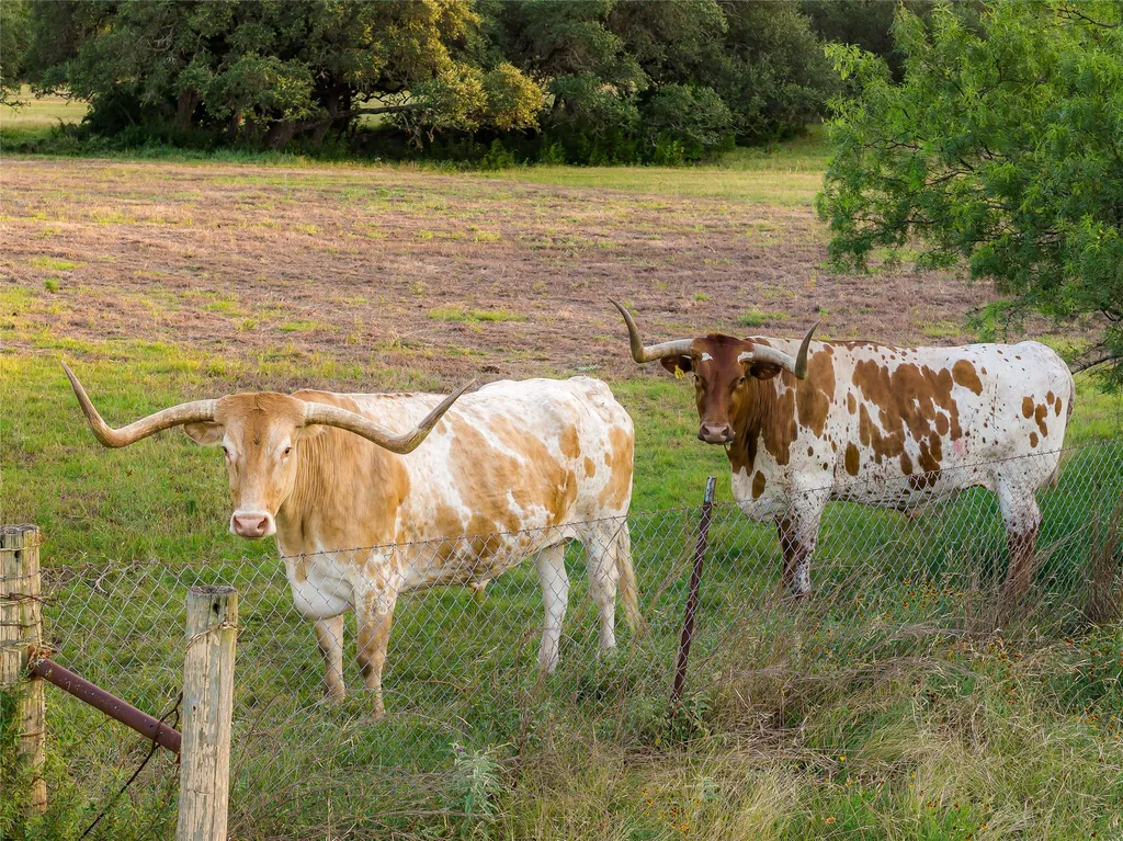 402 Rolling Hills Road Liberty Hill TX 78642