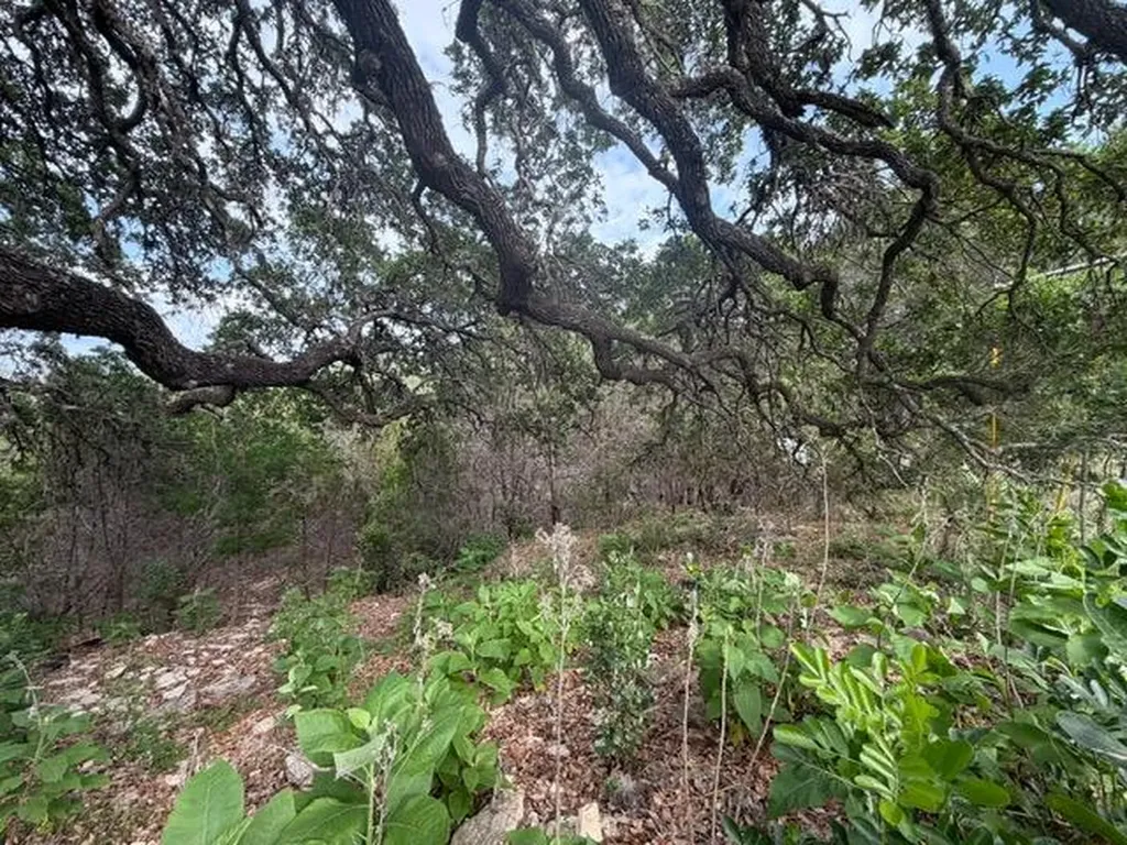 1476 Canyon Ridge Drive Canyon Lake TX 78133