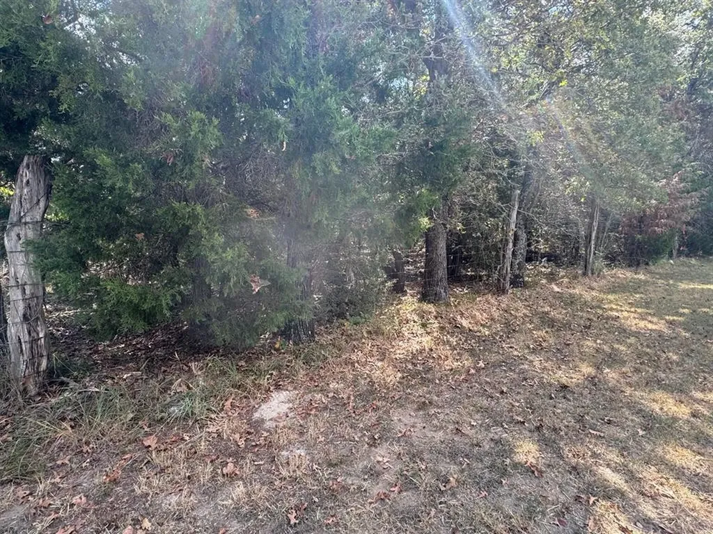 Lot 2 000 Jordan Lane Elgin TX 78621