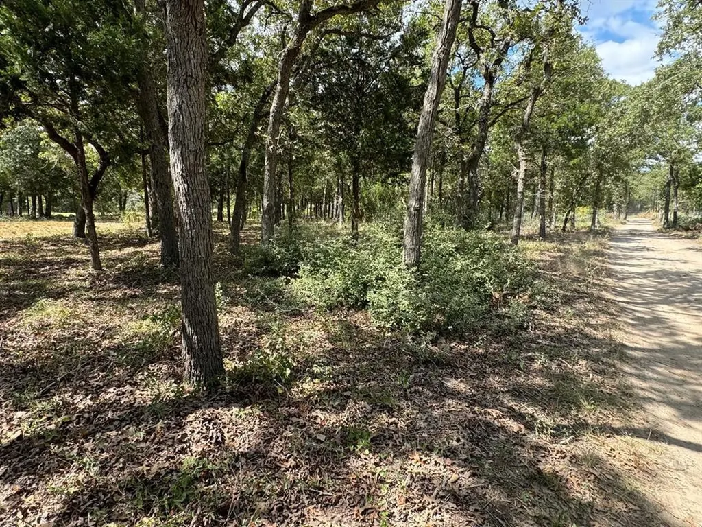 Lot 2 000 Jordan Lane Elgin TX 78621