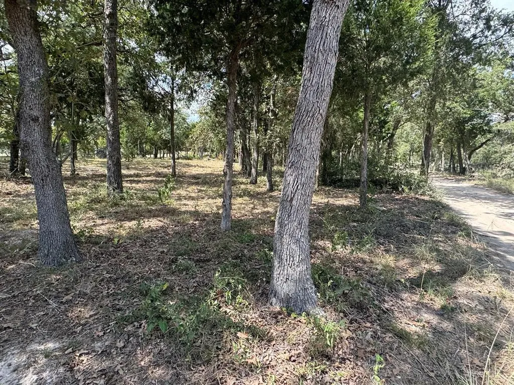 Lot 2 000 Jordan Lane Elgin TX 78621