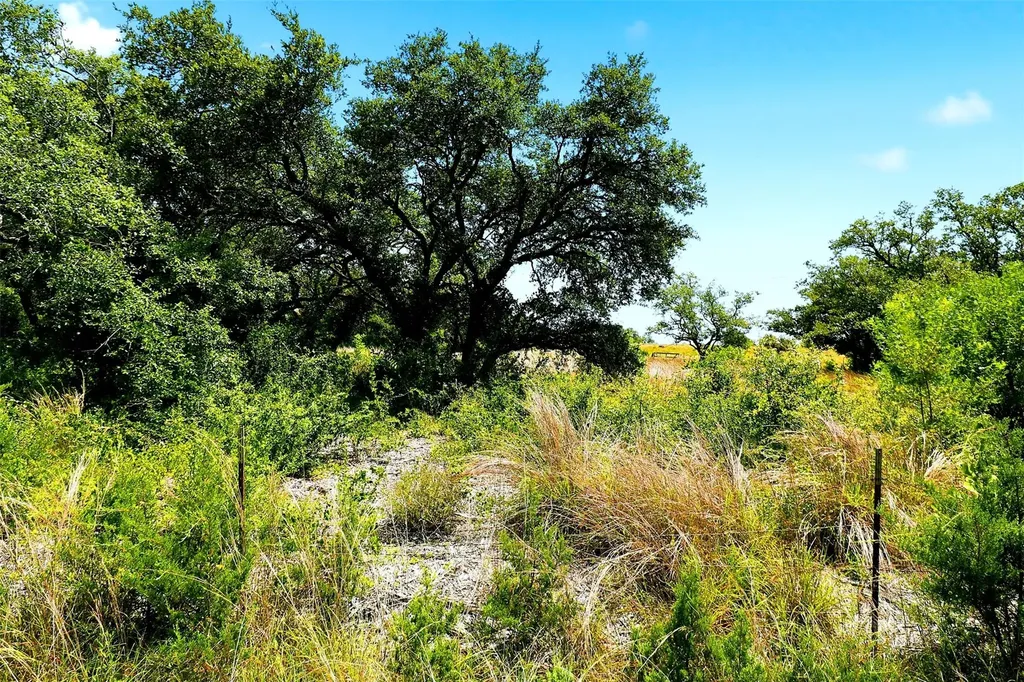 Tbd Mountain Creek Ranch Marble Falls TX 78654