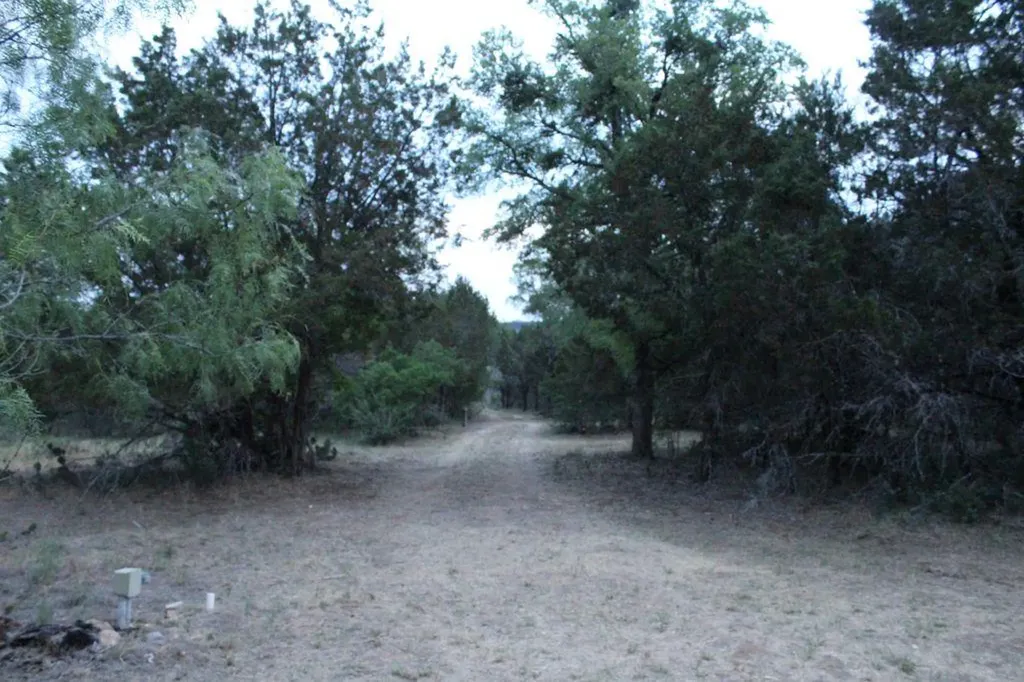 4209 Rock Canyon Cove Marble Falls TX 78654