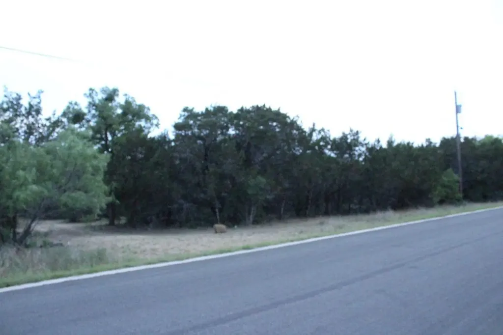 4209 Rock Canyon Cove Marble Falls TX 78654