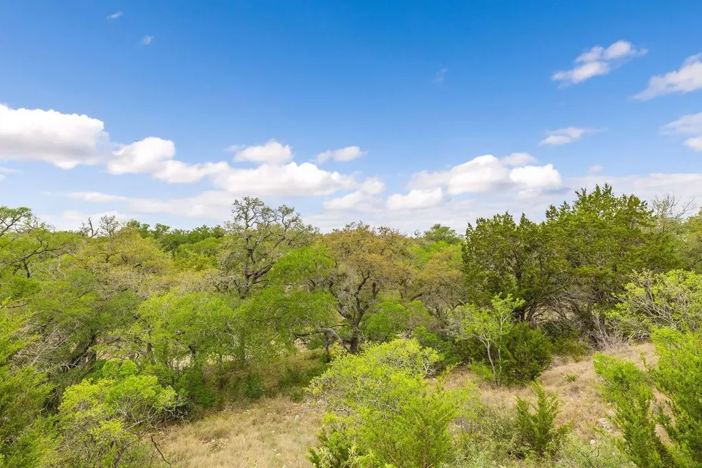 744 W Bartlett Drive Buda TX 78610