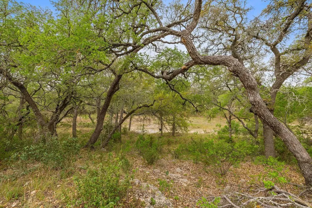 744 W Bartlett Drive Buda TX 78610