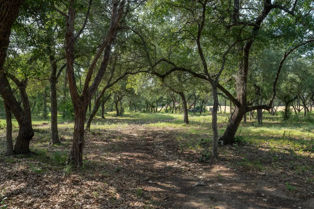3692 County Road 207 Liberty Hill TX 78642