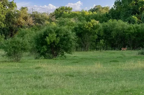 646 Victor Eckhardt Road Fredericksburg TX 78624