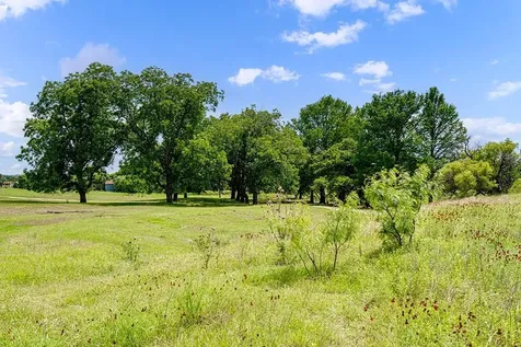 646 Victor Eckhardt Road Fredericksburg TX 78624